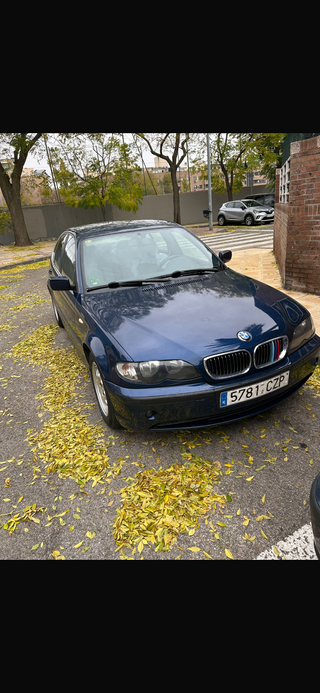 BMW 318i e46 Paquete M (Pegatina C)