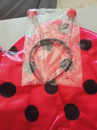 Disfraz Infantil Mariquita, Niñ@s de 7 y 8 años