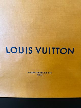 Bolsa Louis Vuitton Naranja Medida 28x38 4 unds