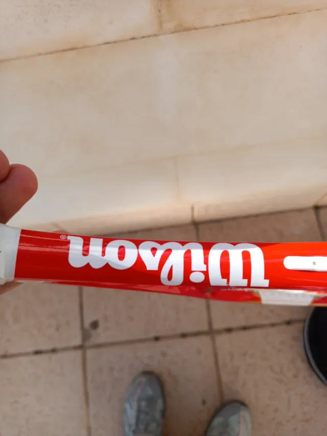 Raqueta Wilson Federer + Paletero