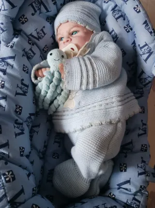 Bebé Reborn con Moisés