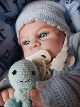 Bebé Reborn con Moisés