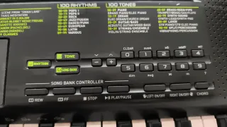 Teclado Casio con soporte y cargador