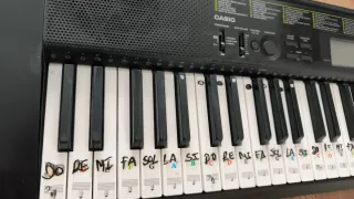 Teclado Casio con soporte y cargador