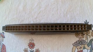 Armonica Blessing negra + estuche