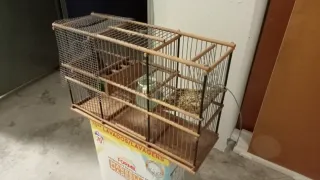 Jaula para pájaros de madera y metal