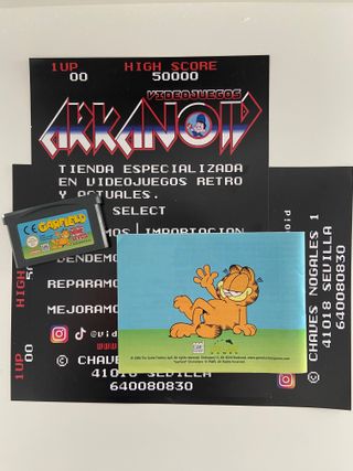 Game Boy Advance Garfield