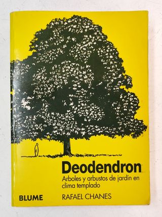 Deodendron. Árboles y Arbustos de jardín de clima