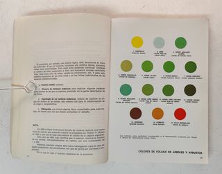 Deodendron. Árboles y Arbustos de jardín de clima