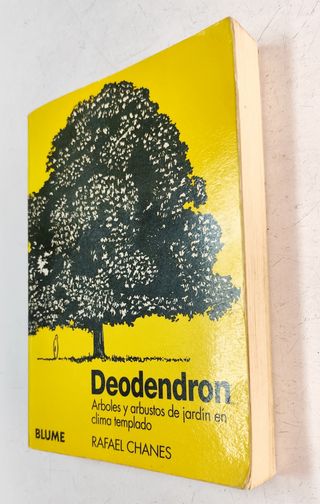 Deodendron. Árboles y Arbustos de jardín de clima