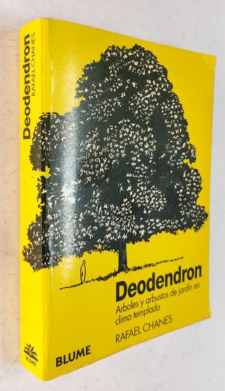 Deodendron. Árboles y Arbustos de jardín de clima