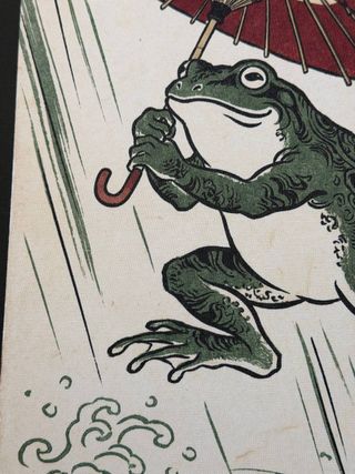 30x40 TELA rana con ombrello pioggia onde