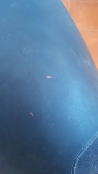 Asiento Yamaha Aerox