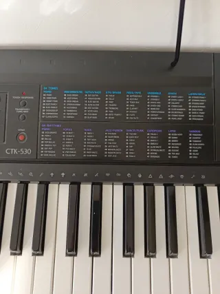 Teclado Casio CTK-530