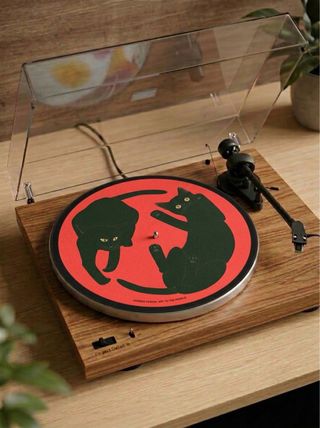 Slip para tocadiscos gatos