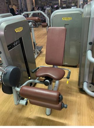 Máquina Femoral Sentado Technogym
