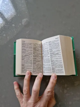 Dizionario italiano compatto