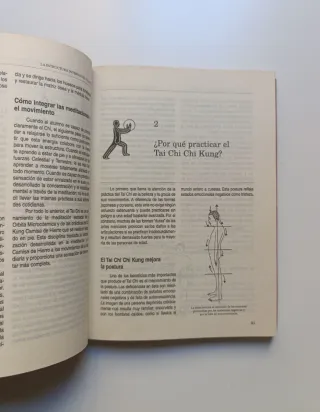La estructura interna del Tai Chi.