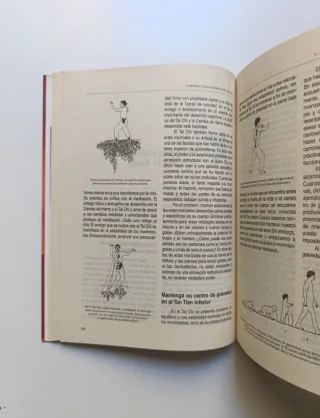 La estructura interna del Tai Chi.