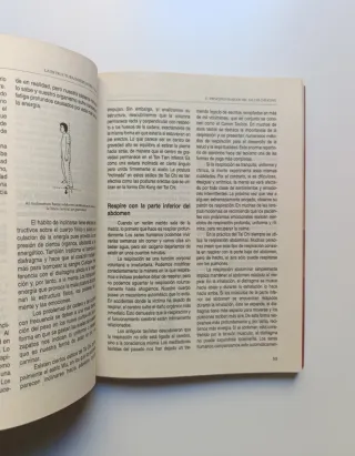 La estructura interna del Tai Chi.