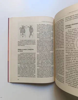 La estructura interna del Tai Chi.