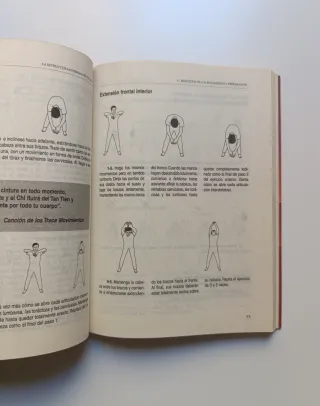 La estructura interna del Tai Chi.