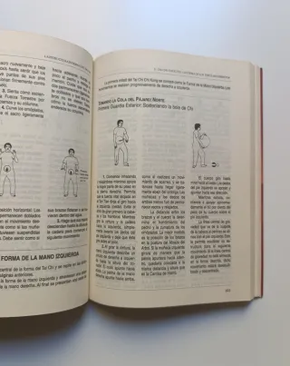 La estructura interna del Tai Chi.
