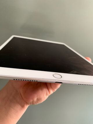 iPad Pro 10.5 256GB Wi-Fi Plata Sin cable