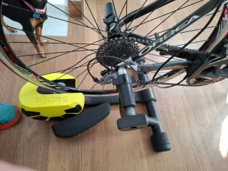 Bicicleta carretera con rodillo