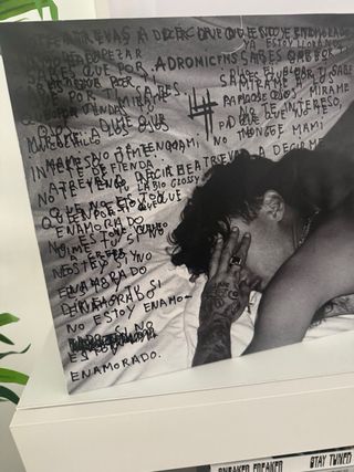 Vinilo Yung Beef Adromicfms 4