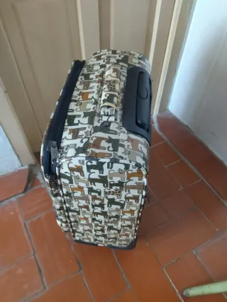 Maleta de cabina y bolso de viaje a juego