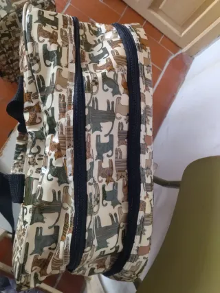 Maleta de cabina y bolso de viaje a juego