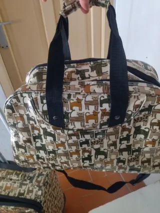 Maleta de cabina y bolso de viaje a juego