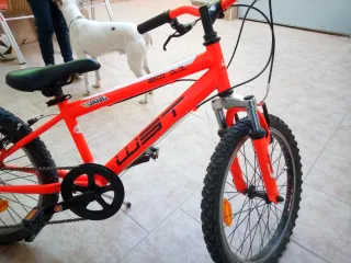 Bicicleta infantil naranja