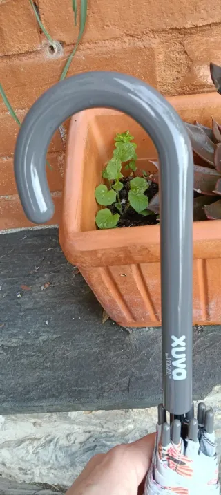 Paraguas automático colección bees Vogue