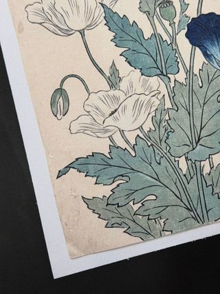 30x40 Poster tela papaveri blu e bianchi