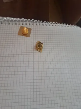 Lote de Pines Coleccionables