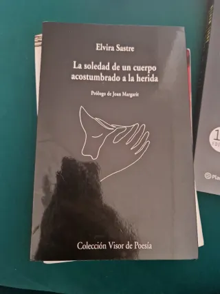 La soledad de un cuerpo acostu.bradi a la herida