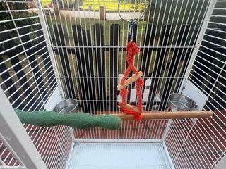 Jaula grande para Loro, ninfas y aves exóticas