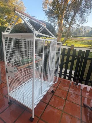 Jaula grande para Loro, ninfas y aves exóticas