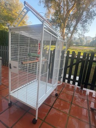 Jaula grande para Loro, ninfas y aves exóticas