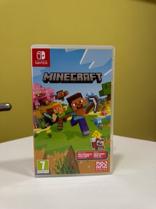 Minecraft Nintendo Switch
