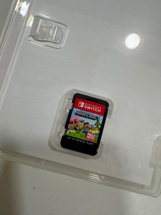 Minecraft Nintendo Switch