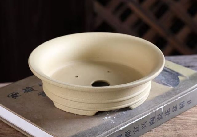 Maceta bonsai color arena