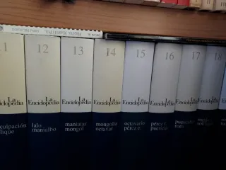 LA ENCICLOPEDIA (EL PAÍS)