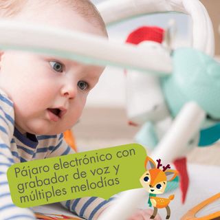 Tiny Love Deluxe, Tapis d’Éveil Bébé Musical 2-en-