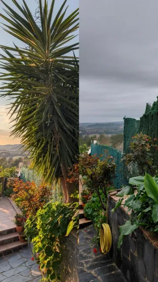 Jardinero a domicilio