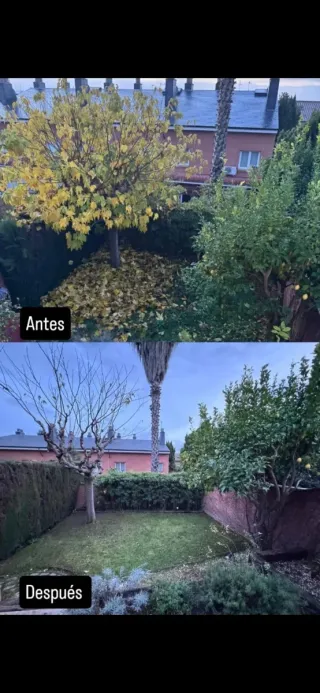 Jardinero a domicilio