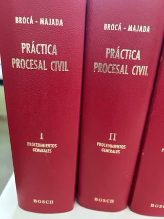 Colección derecho practica porcesal civil