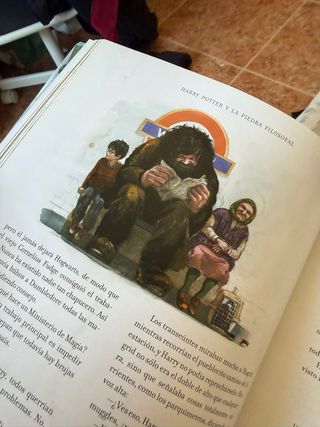 Harry Potter y la piedra filosofal (Harry Potte...